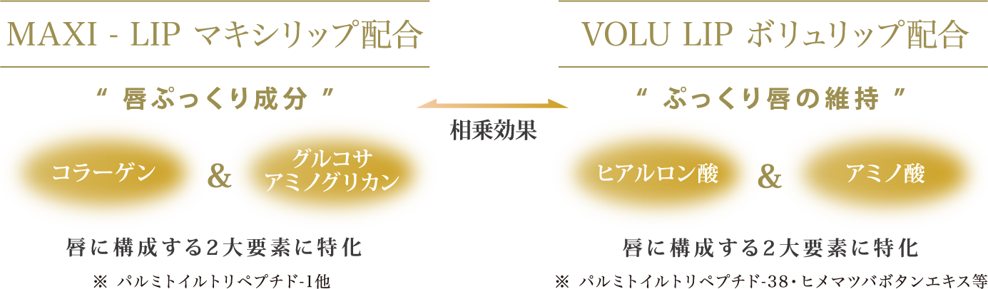 MAXI-LIP マキシリップ配合 VOLU LIP ボリュリップ配合
