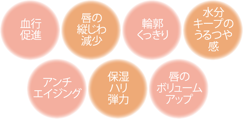 血行促進　唇の縦じわ減少　輪郭くっきり　水分キープのうるつや感　アンチエイジング　保湿ハリ弾力　唇のボリュームアップ