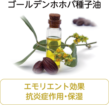 ゴールデンホホバ種子油
