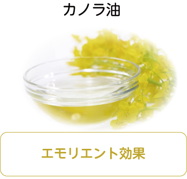 カノラ油