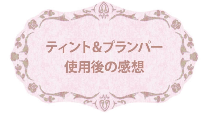 ティント＆プランパー使用後の感想